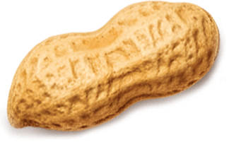 Fıstık dekorasyonu